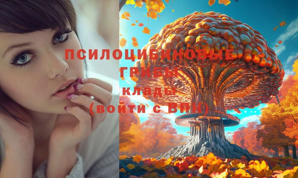 МДПВ Бронницы