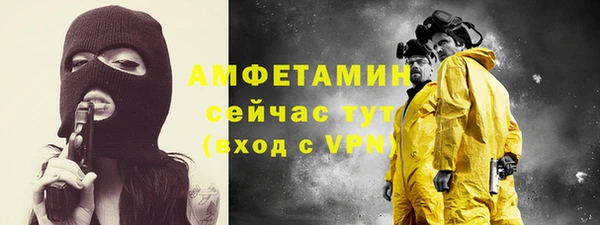ПСИЛОЦИБИНОВЫЕ ГРИБЫ Бородино