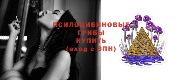 МДПВ Бронницы