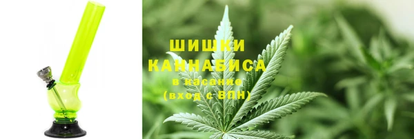сатива Бугульма
