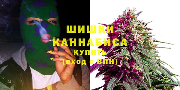 ПСИЛОЦИБИНОВЫЕ ГРИБЫ Бородино