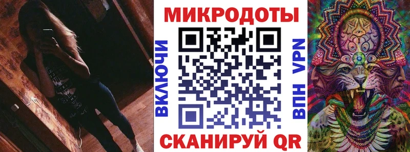 где купить наркоту Козловка Псилоцибиновые грибы Psilocybine cubensis