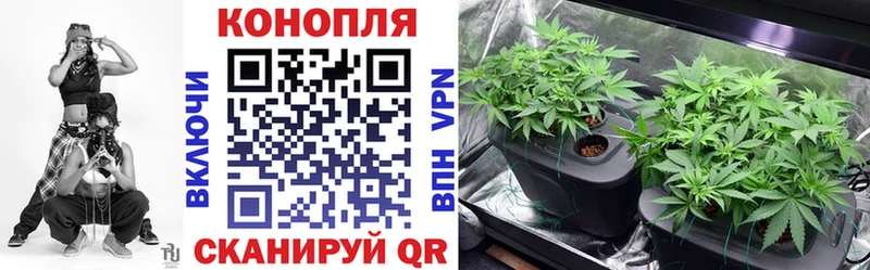Шишки марихуана конопля  наркота  Козловка 